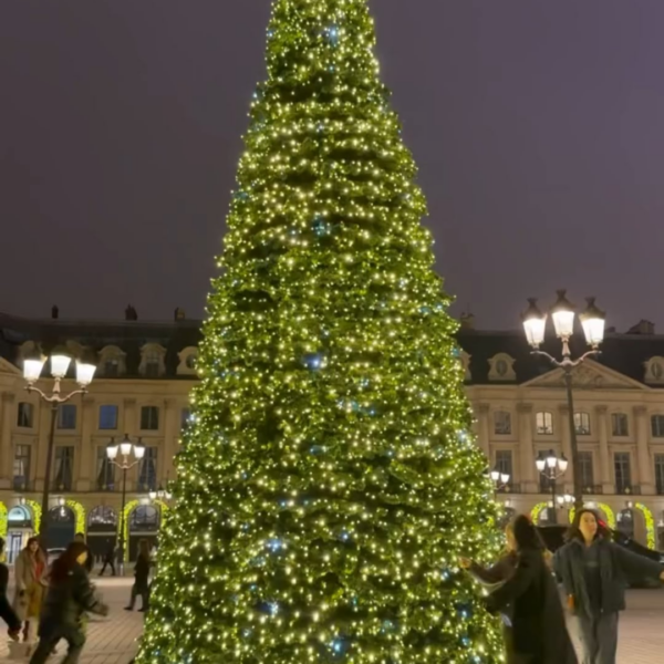 251215 ityitj IG Update w/ Lisa