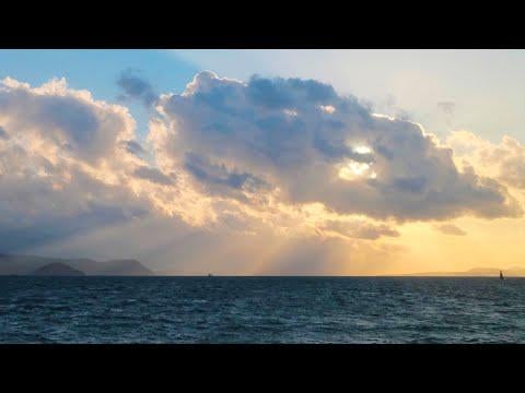 251208 Google's 2025 Year in Search with Lisa for the Labubu Craze