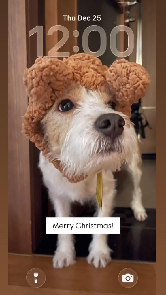 251225 Alice IG Story Update w/ HANK