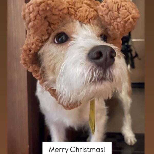 251225 Alice IG Story Update w/ HANK