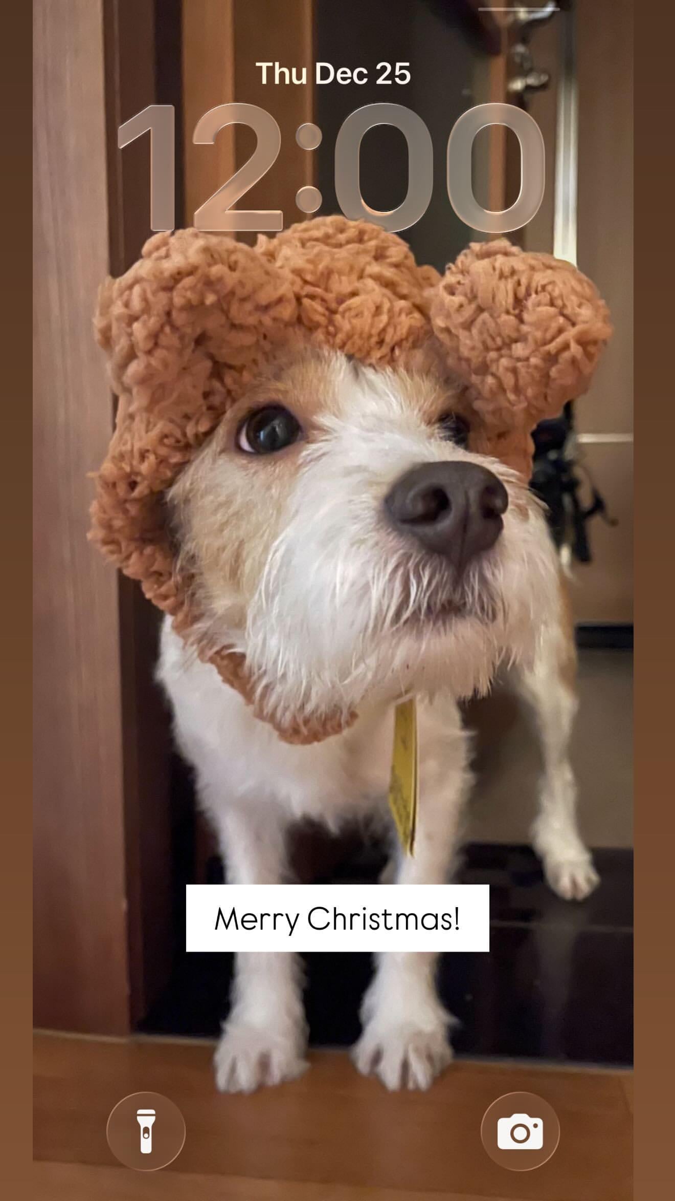 251225 Alice IG Story Update w/ HANK