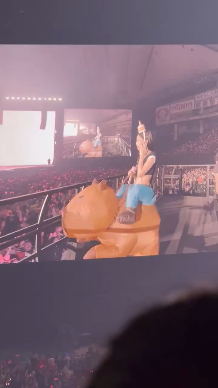 260116 Jennie in Capybara Costume @ BLACKPINK WORLD TOUR [DEADLINE] IN TOKYO D1