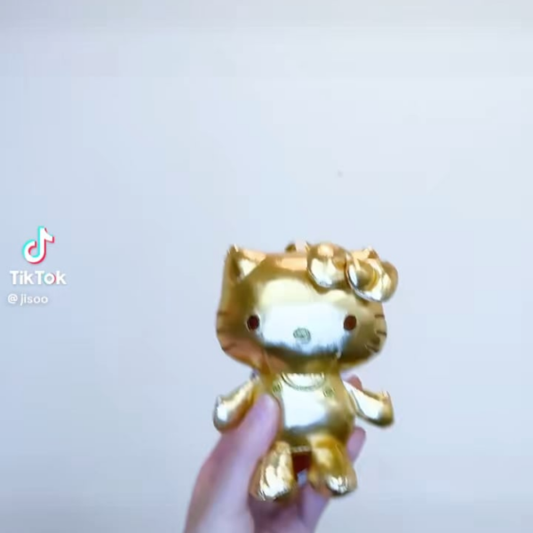 260130 Jisoo Tiktok Update