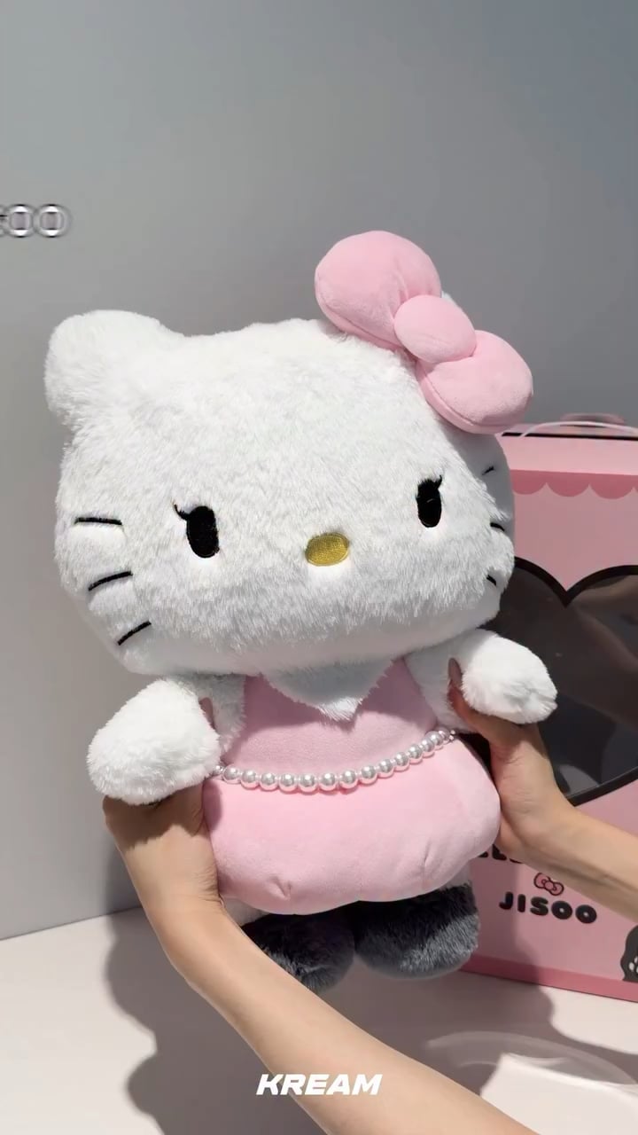 260106 Jisoo x Hello Kitty | Plush Keychain & 40cm Character Doll Unboxing