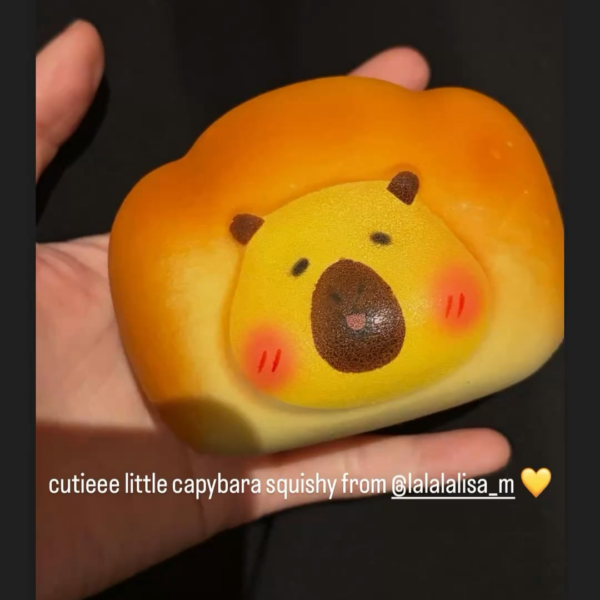 260125 Jennie IG Story Update