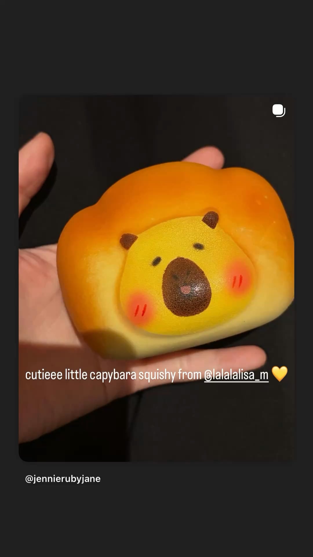 260125 Jennie IG Story Update