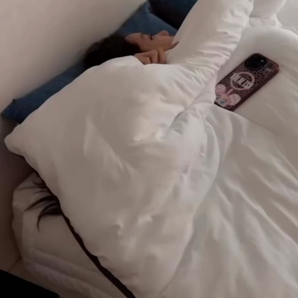 260101 Lisa IG Update