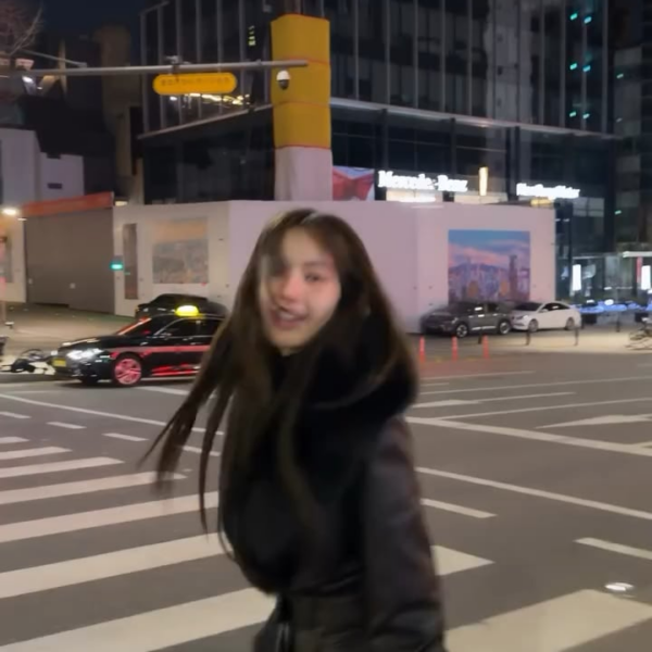 260101 Lisa IG Story Update: Happy New Year