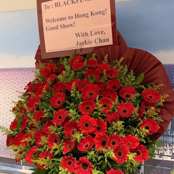 260125 Lisa IG Story Update