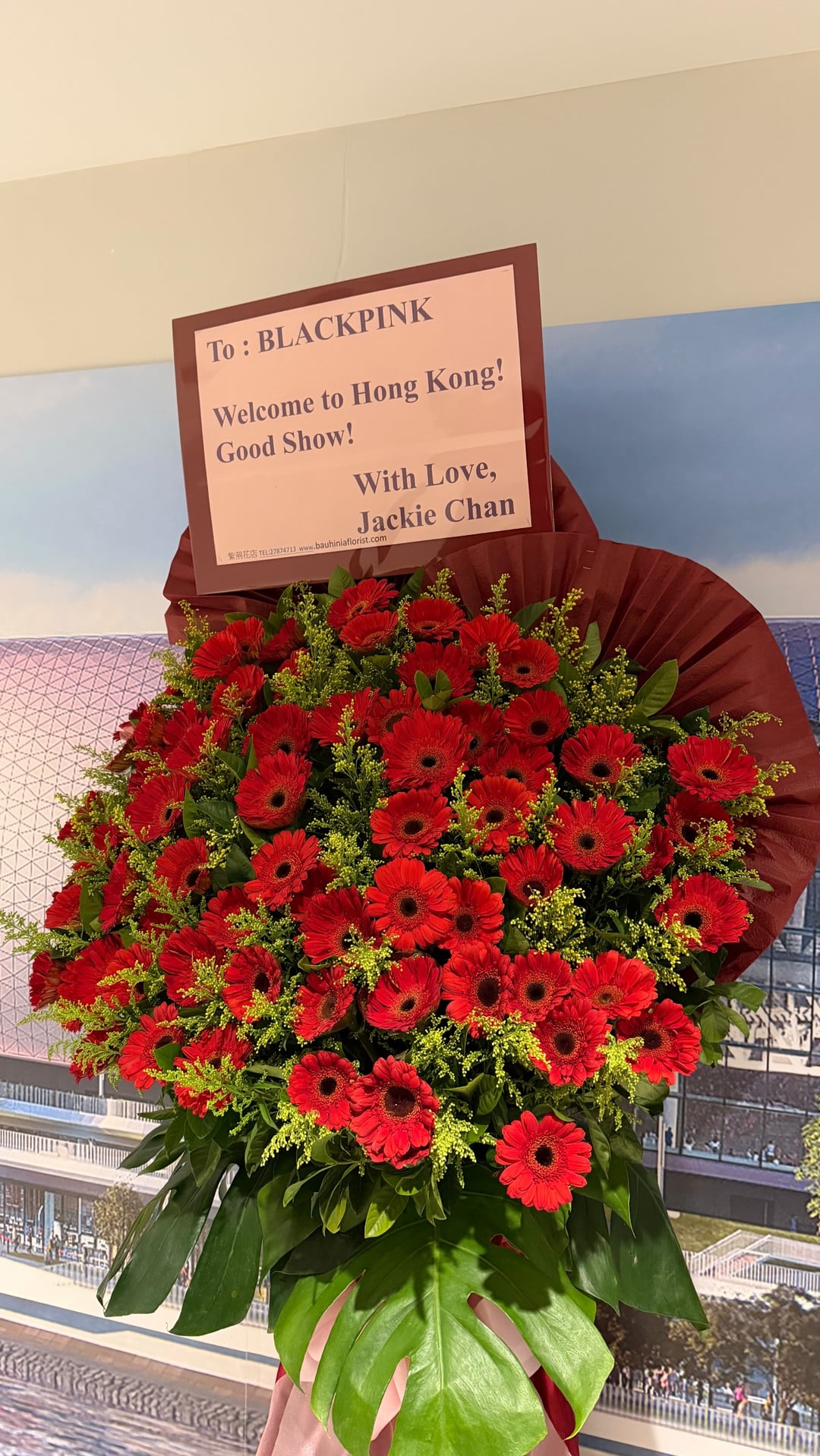 260125 Lisa IG Story Update