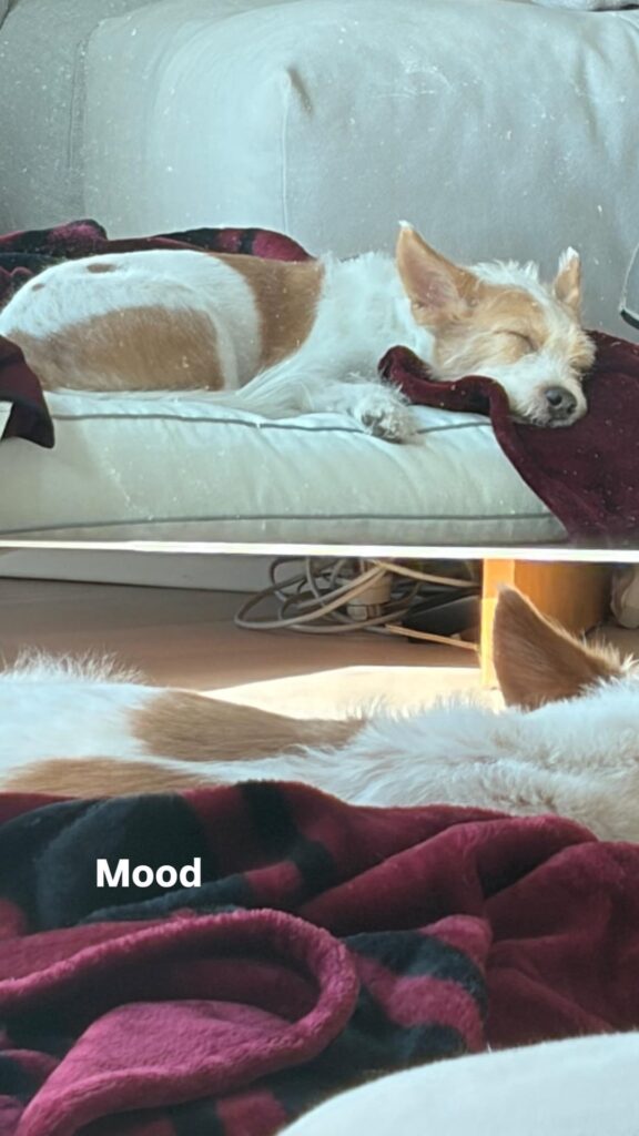 260102 ROSÉ IG Story Update w/ HANK
