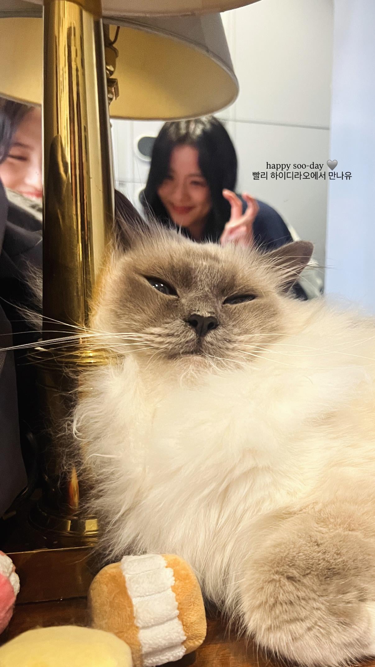 260103 goshbecky IG Story Update w/ Jisoo