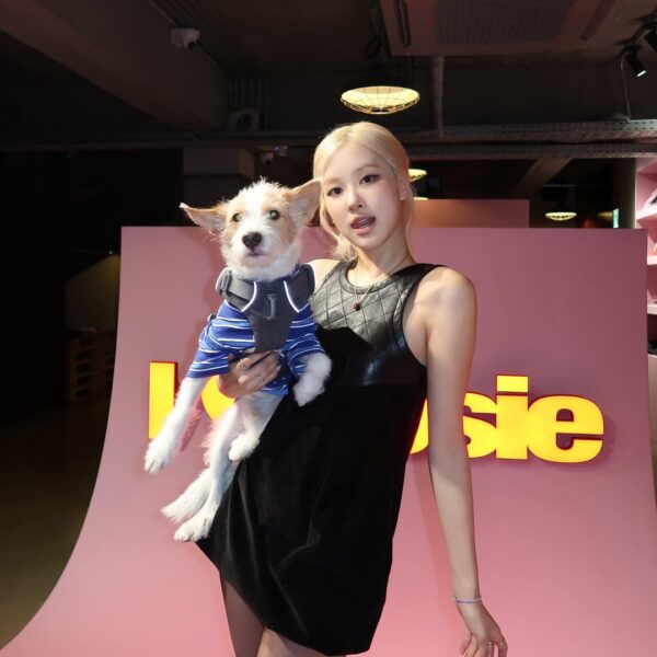 260123 Rosé IG Update