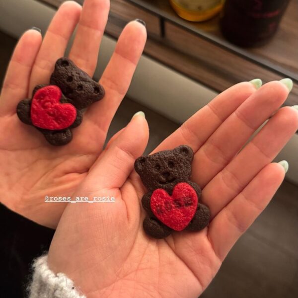 260211 Ashley IG Story Update w/ ROSÉ