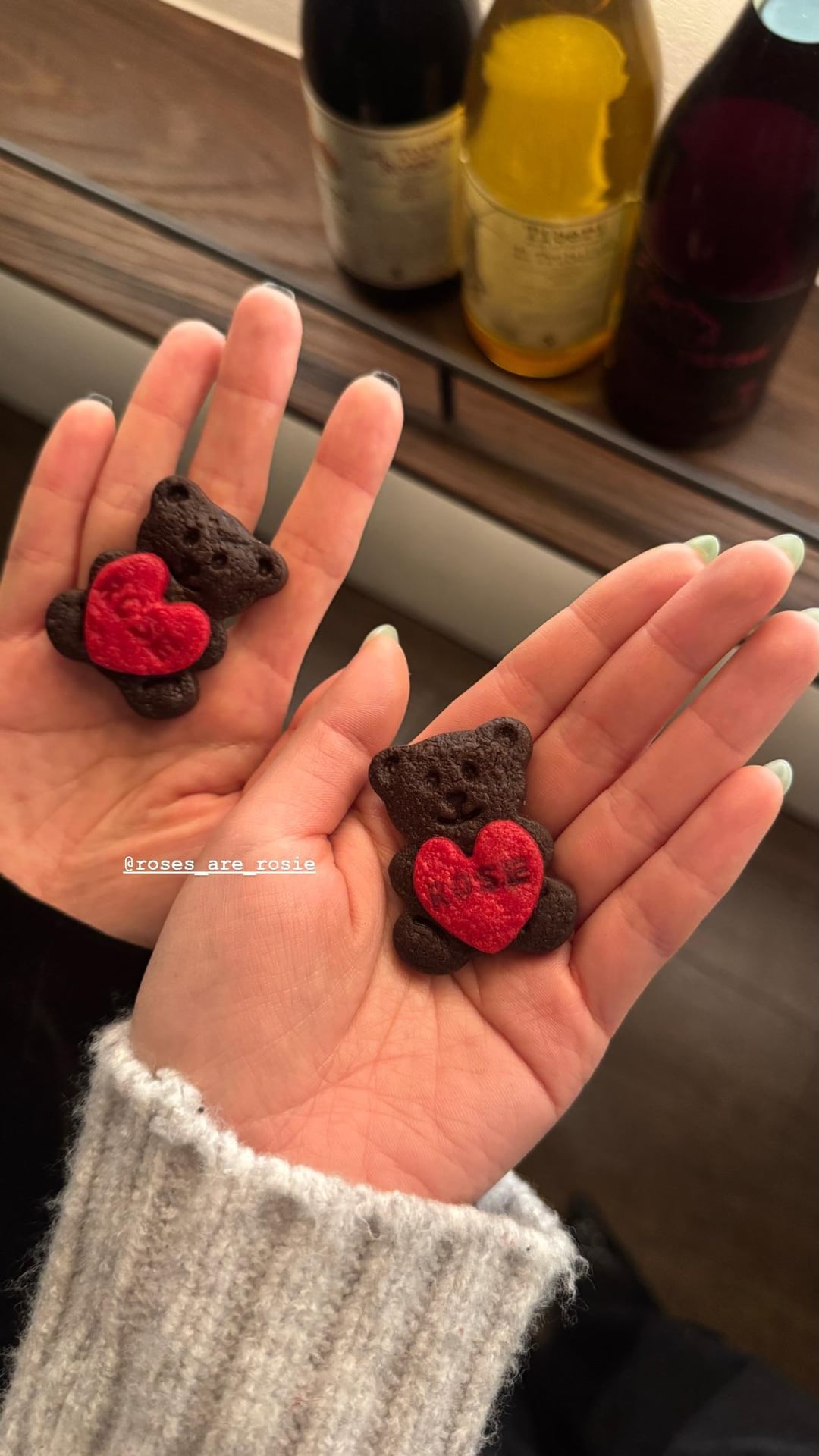 260211 Ashley IG Story Update w/ ROSÉ