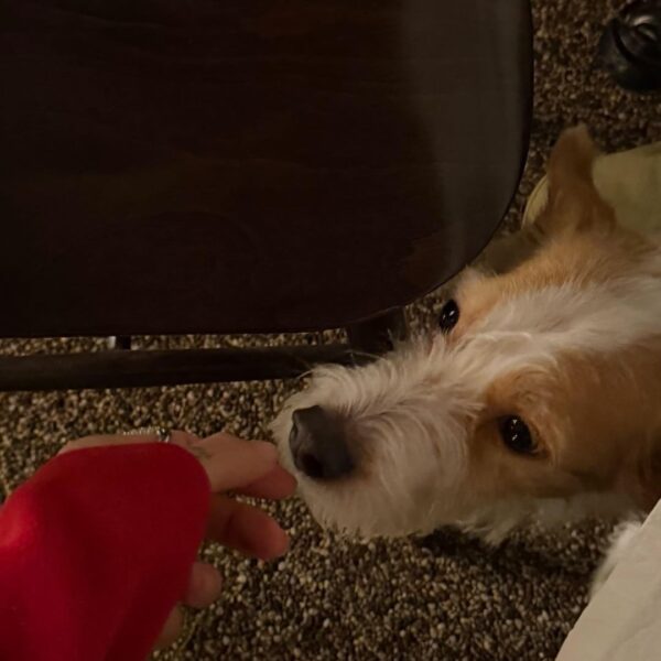 260211 Peggy Gou IG Story Update w/ ROSÉ