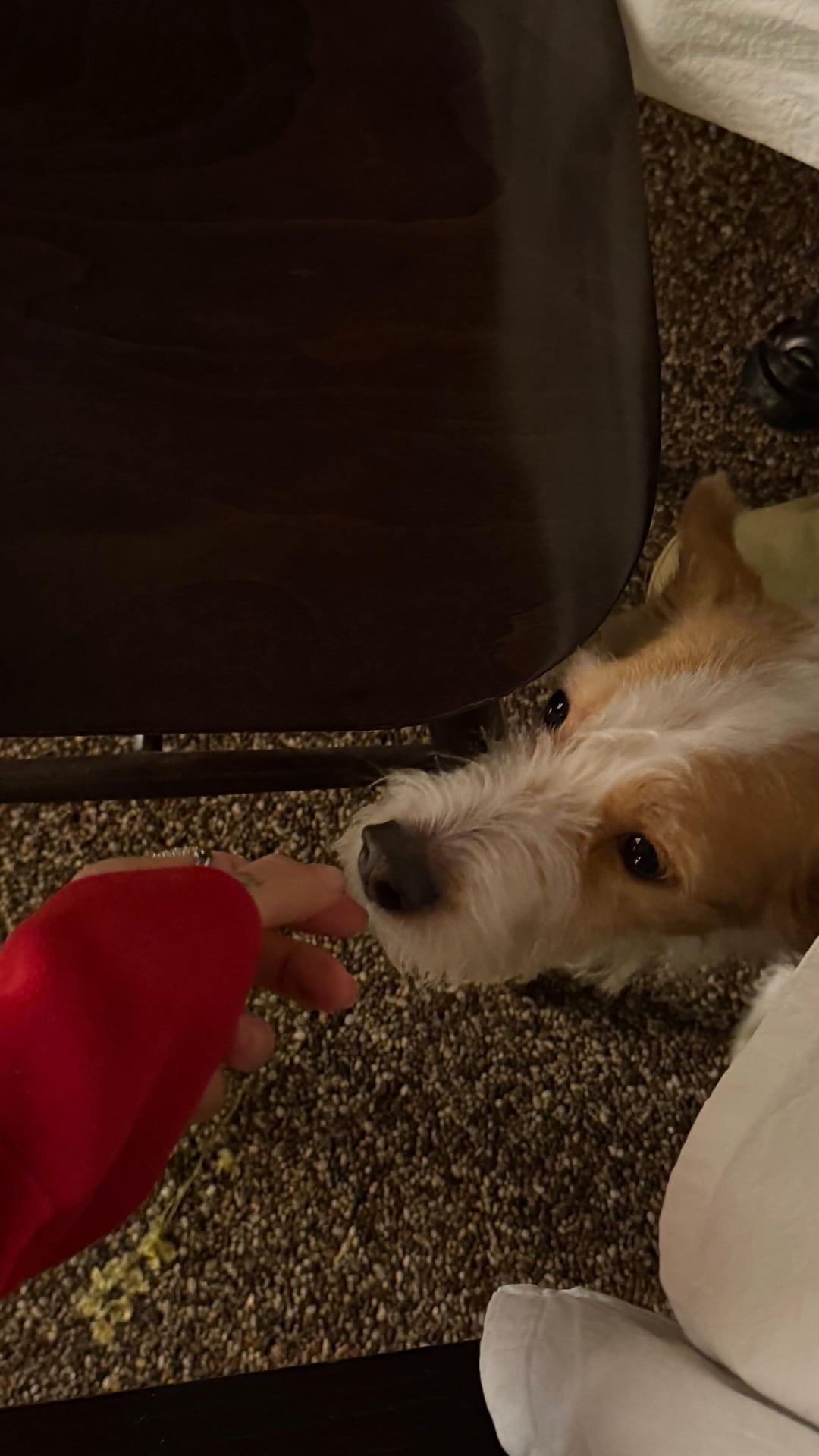 260211 Peggy Gou IG Story Update w/ ROSÉ