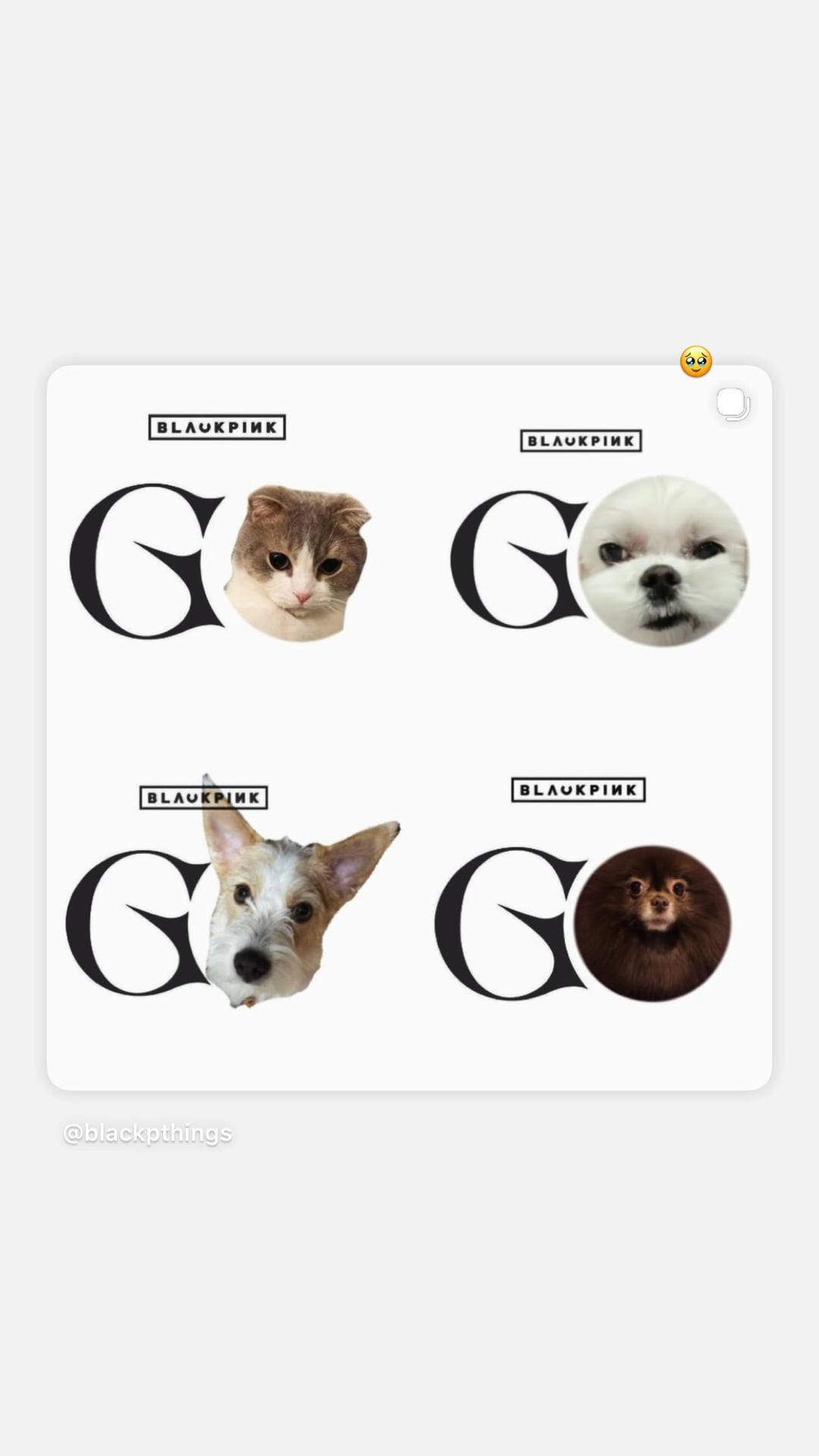 260228 Rosé IG Story Update