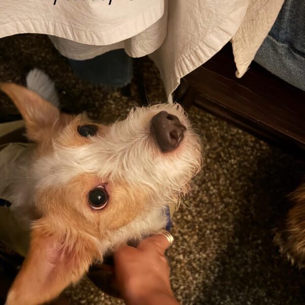 260211 Rosé IG Story Update