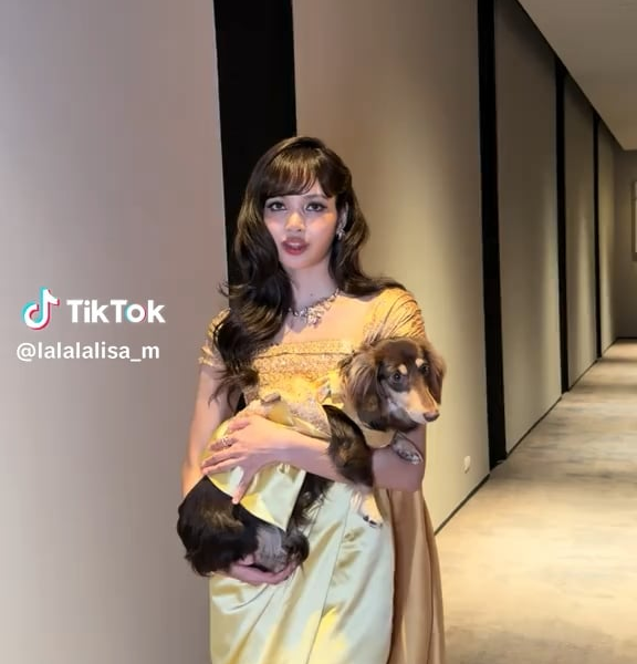 260201 LISA TikTok update