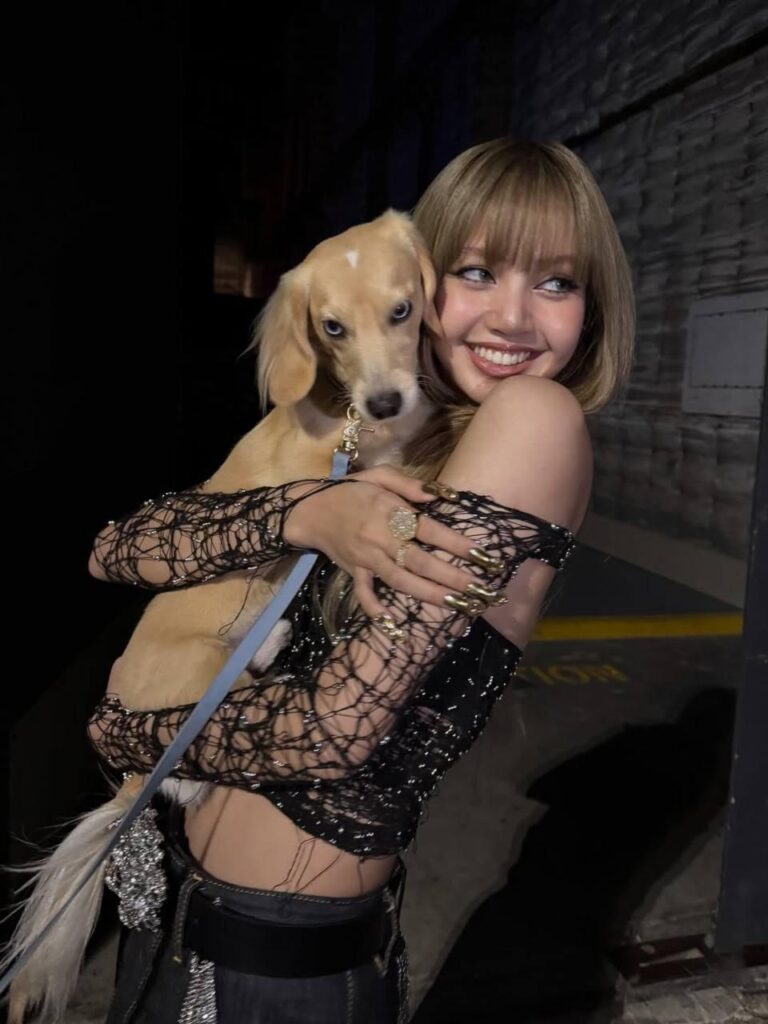 Cute Lisa