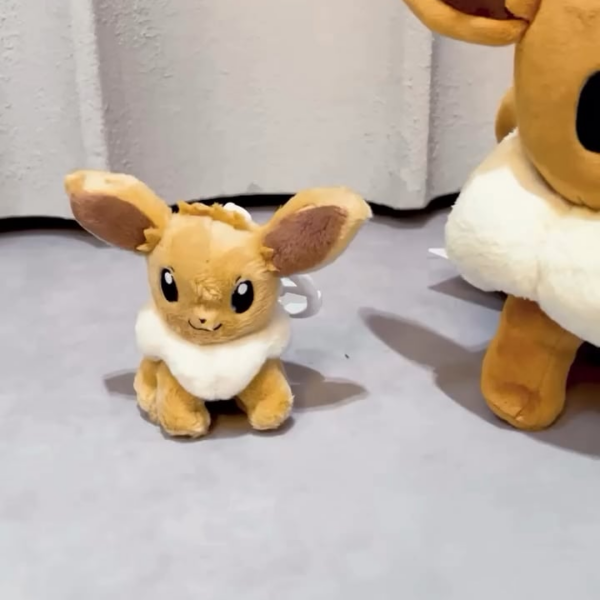 260209 Jisoo IG Story Update