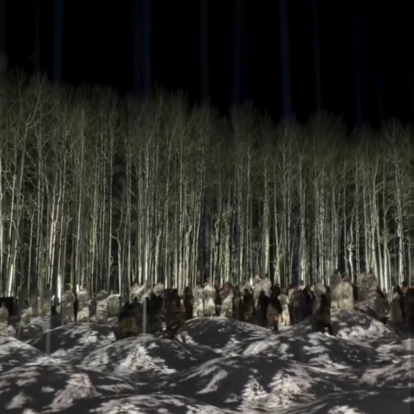 260201 Jennie IG Story Update