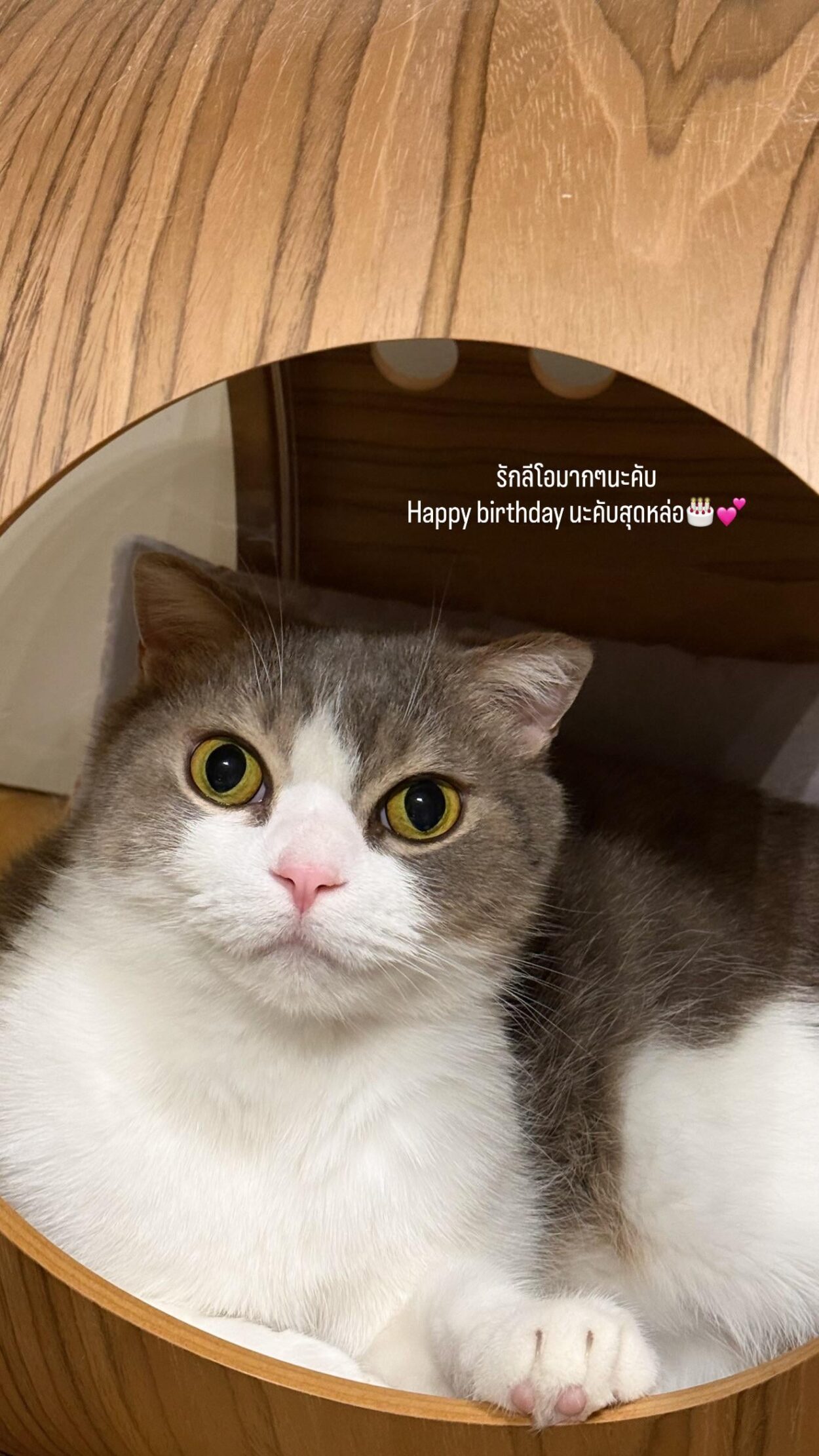 260209 lalala_Ifamily IG Story Update