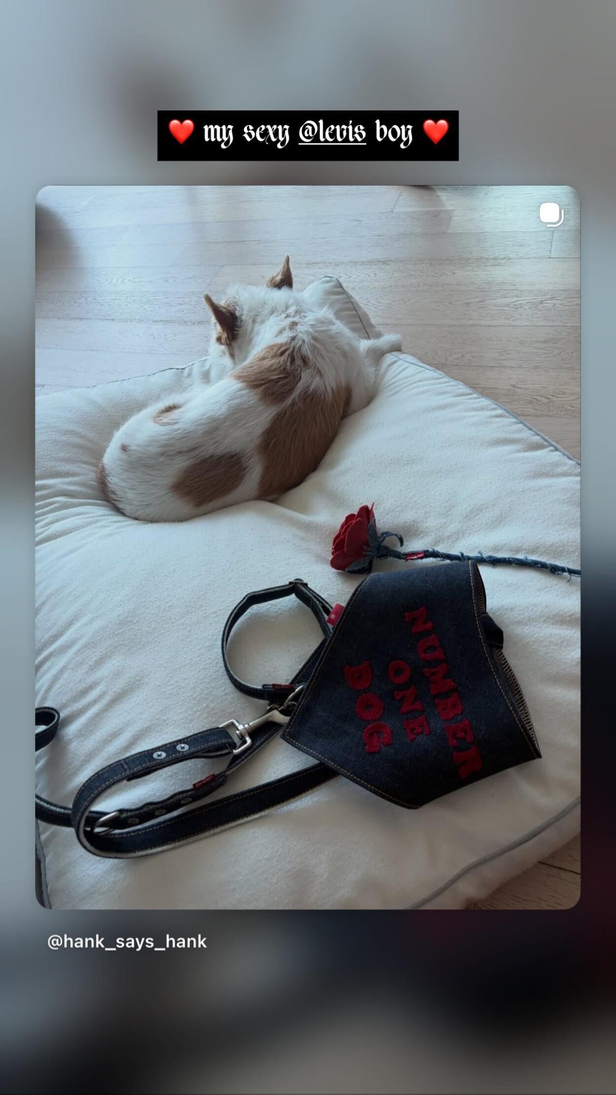 260216 ROSÉ IG Story Update