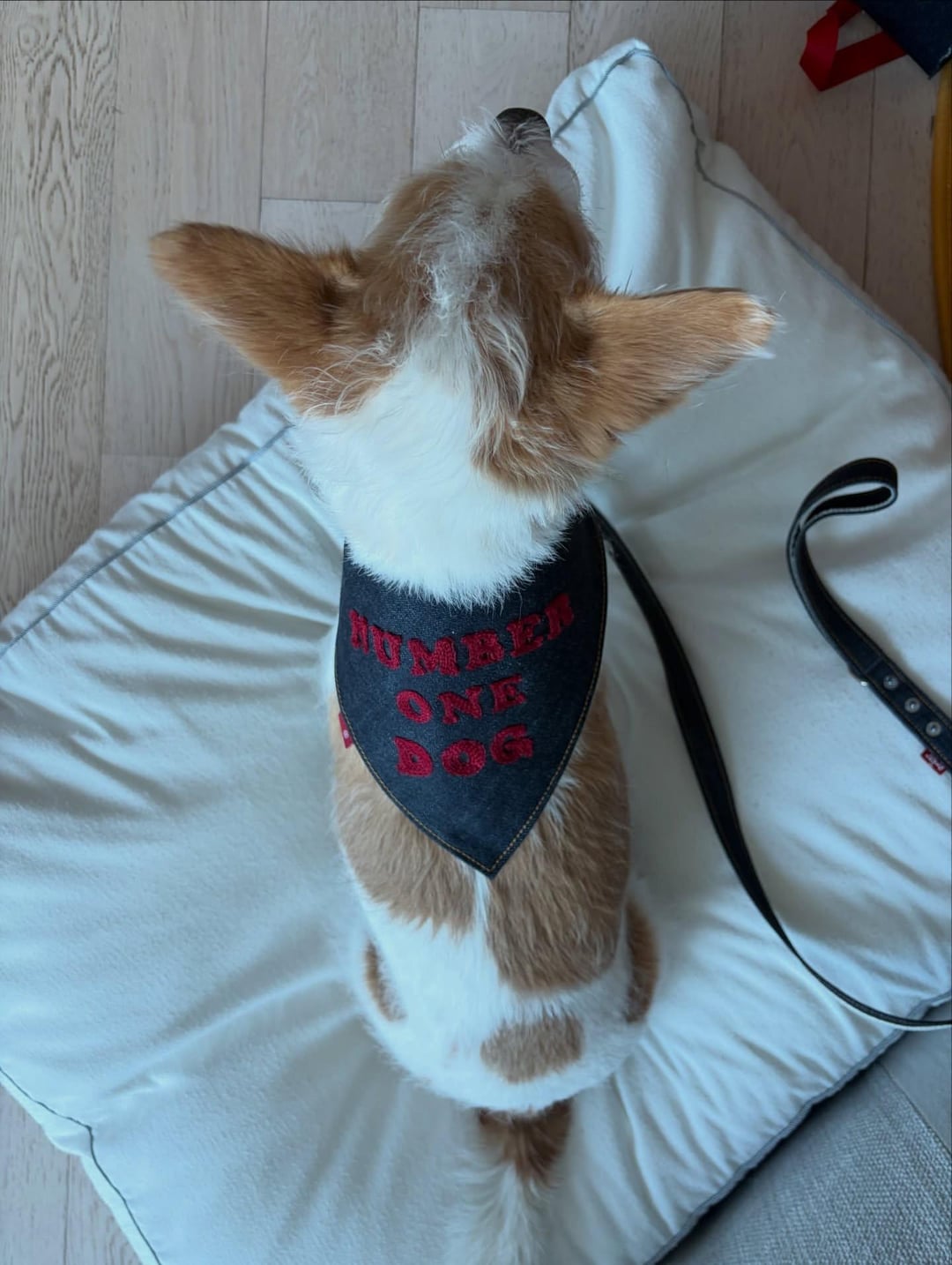 260216 ROSÉ (hank_says_hank) IG Update