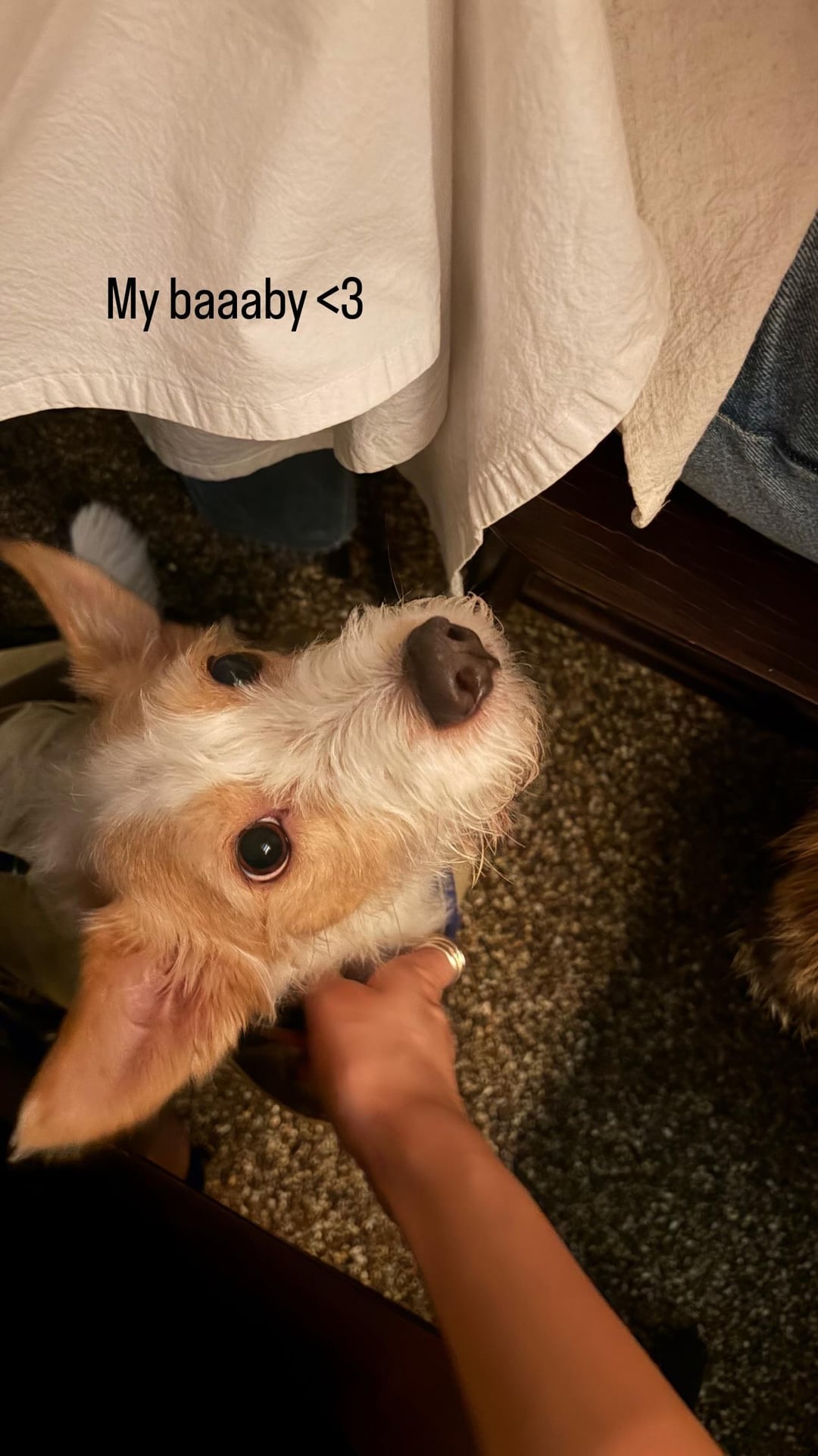 260211 ROSÉ IG Story Update