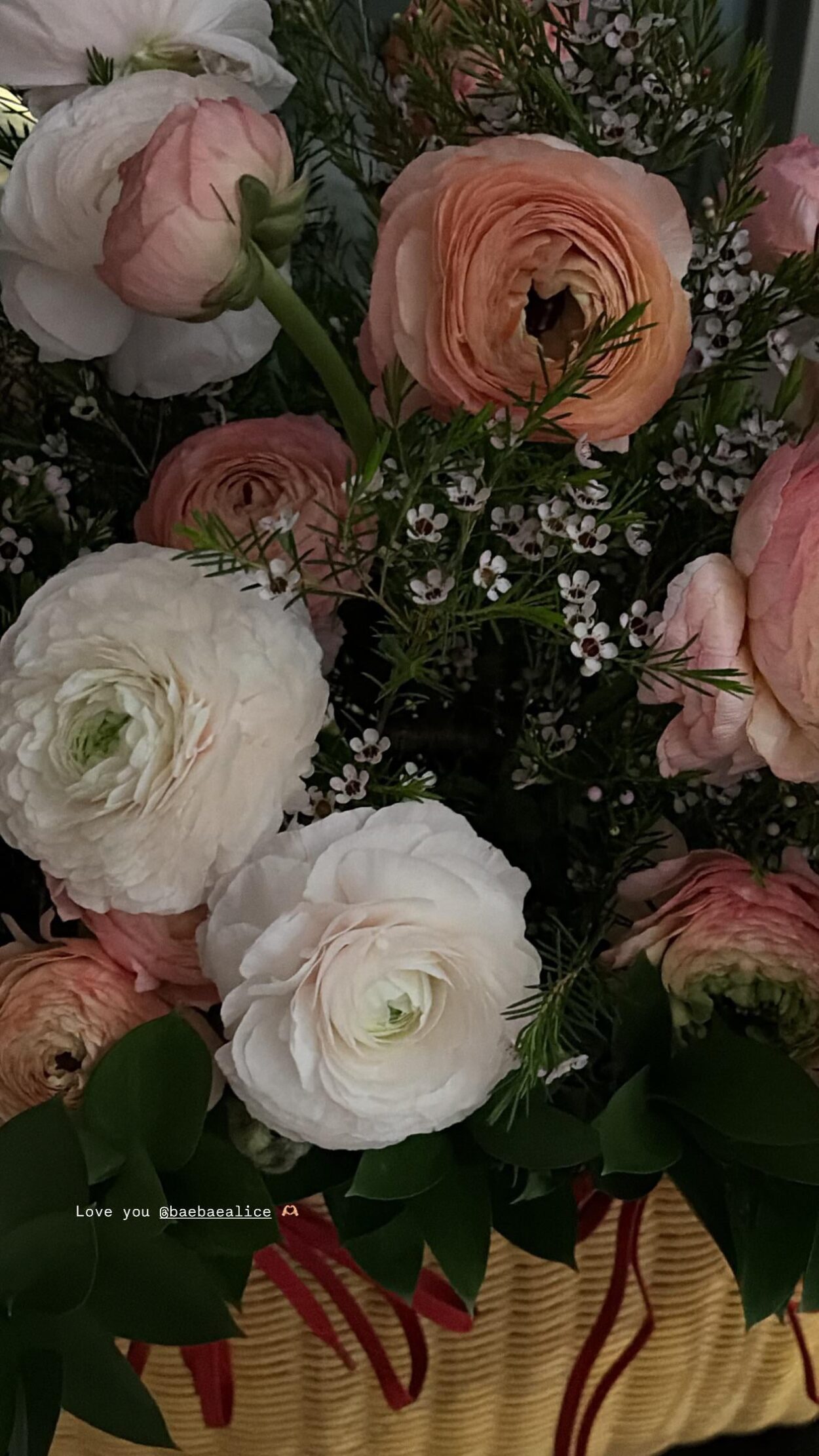 260305 ROSÉ IG Story Update