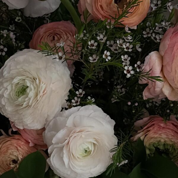 260305 ROSÉ IG Story Update