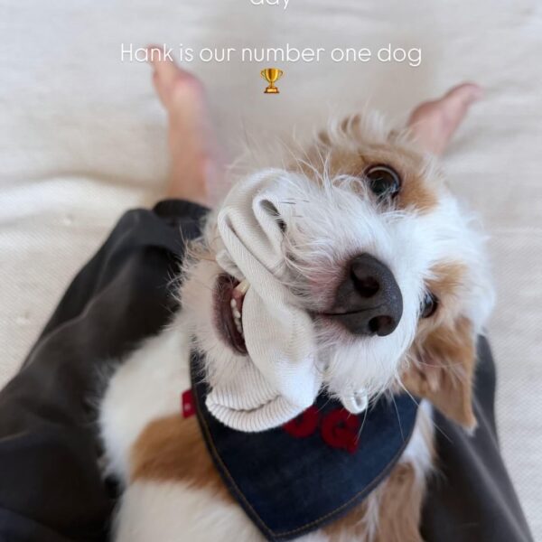 260323 Alice IG Story Update w/ HANK