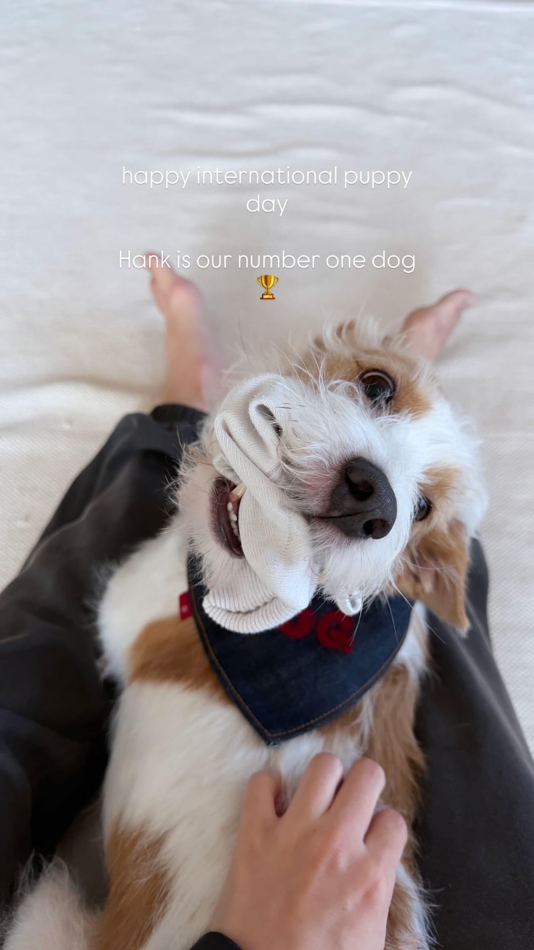 260323 Alice IG Story Update w/ HANK