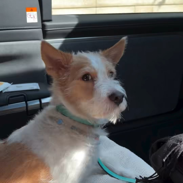 260308 ROSÉ IG Story Update