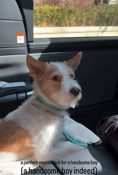 260308 Rosé IG Story Update