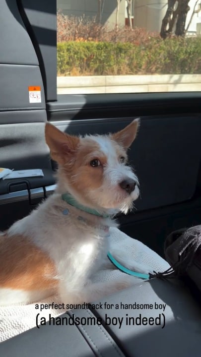 260308 Rosé IG Story Update