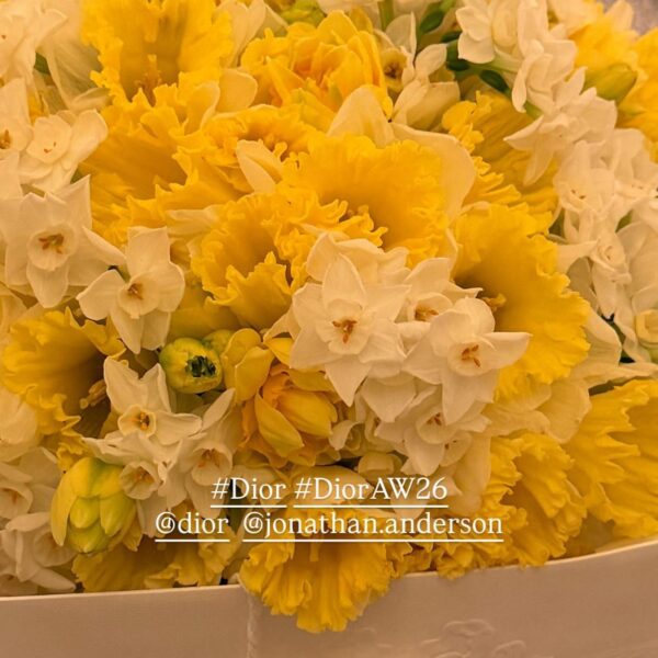 260302 Jisoo IG Story Update