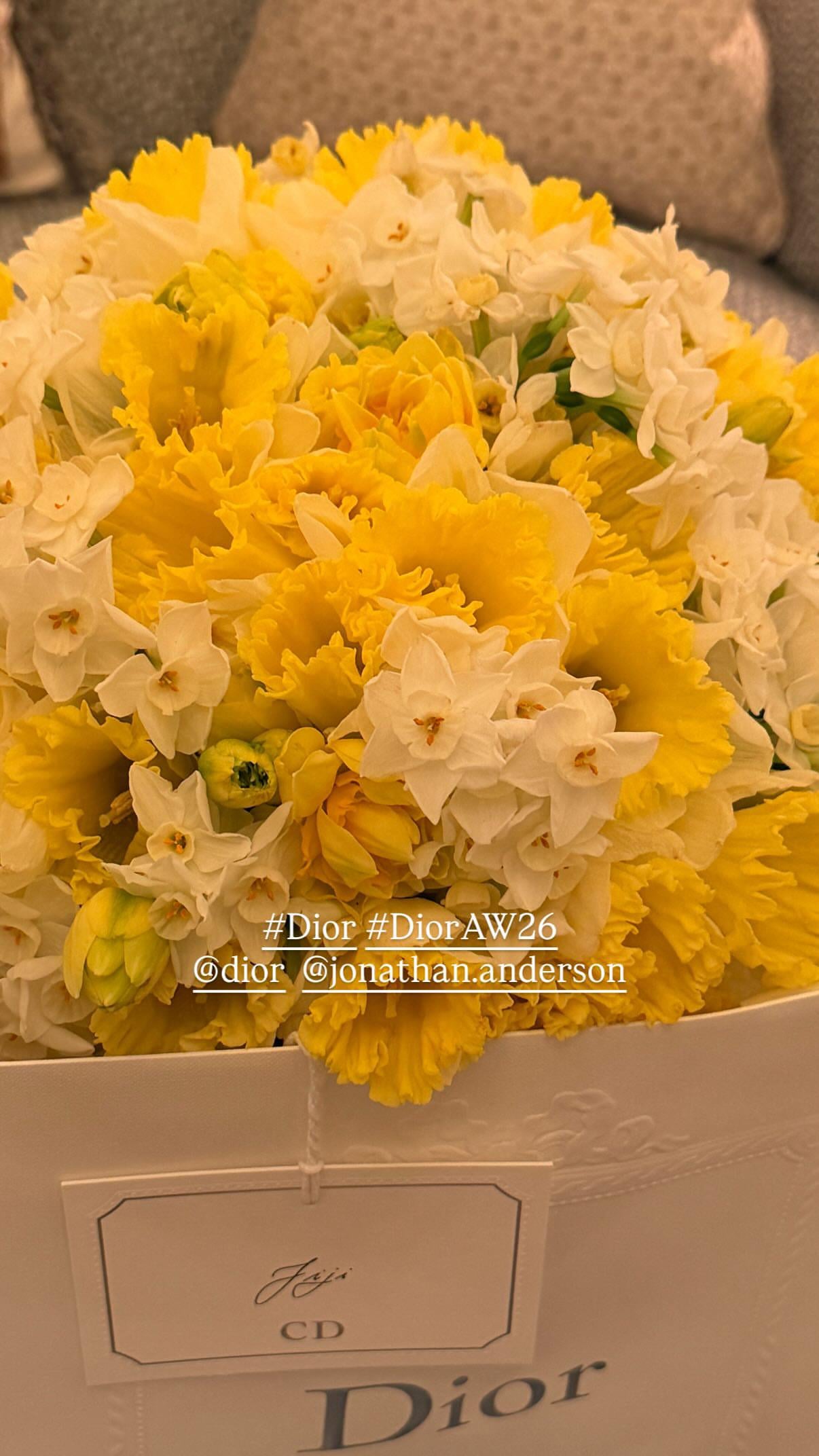 260302 Jisoo IG Story Update