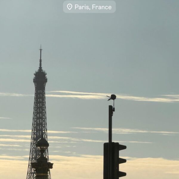 260302 Jisoo IG Story Update