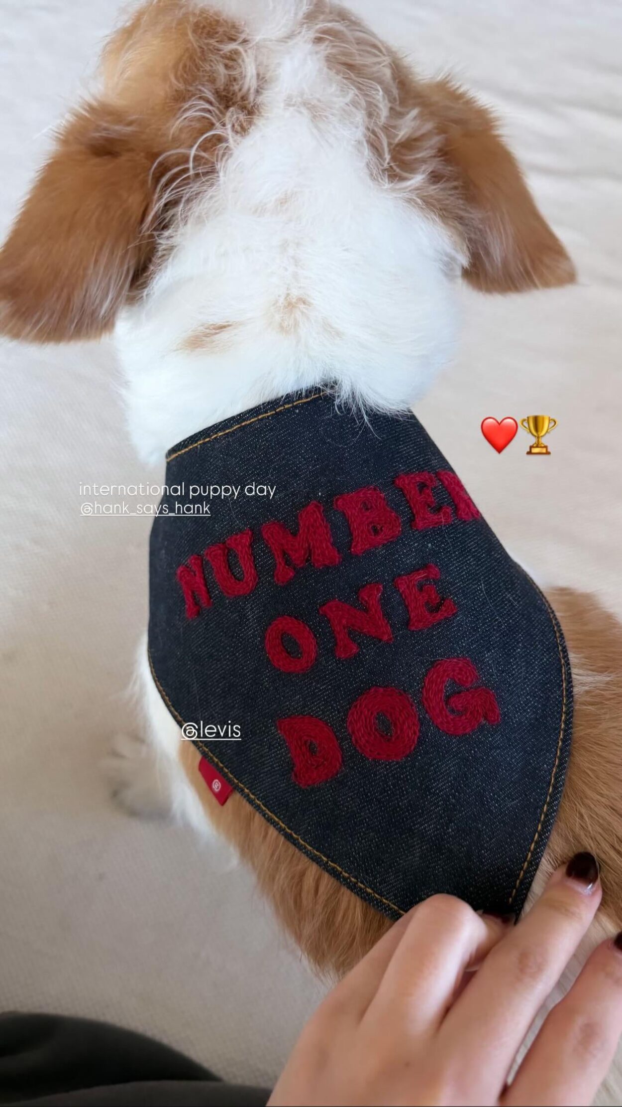 260323 Rosé IG Story Update