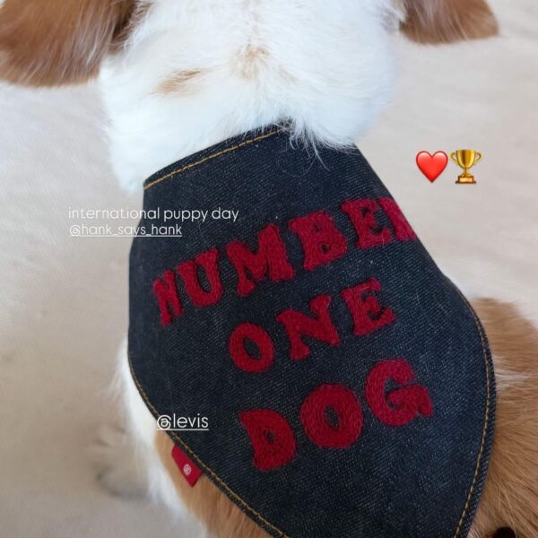 260323 Rosé IG Story Update