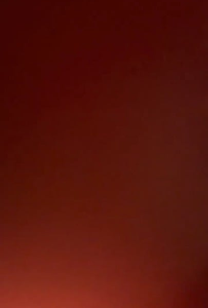 260423 Lisa TikTok Update