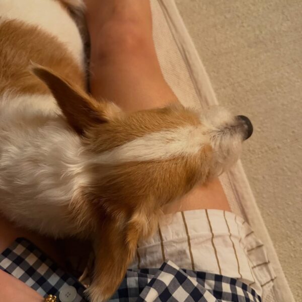 260406 Alice IG Update w/ HANK