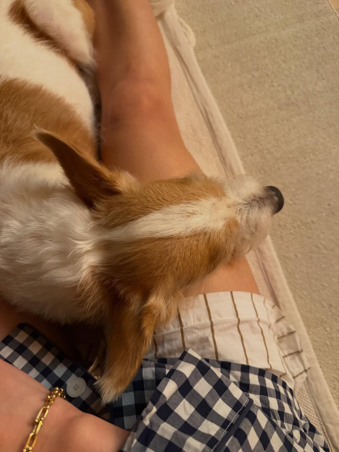 260406 Alice IG Update w/ HANK