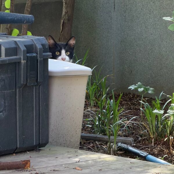 260517 Lisa IG Story Update