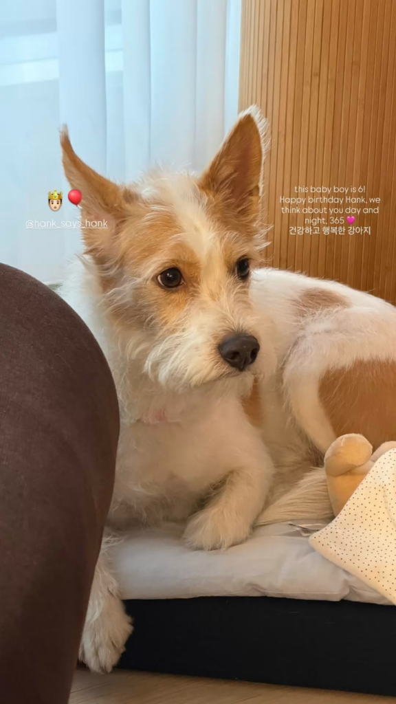 260505 Alice IG Story Update w/ HANK