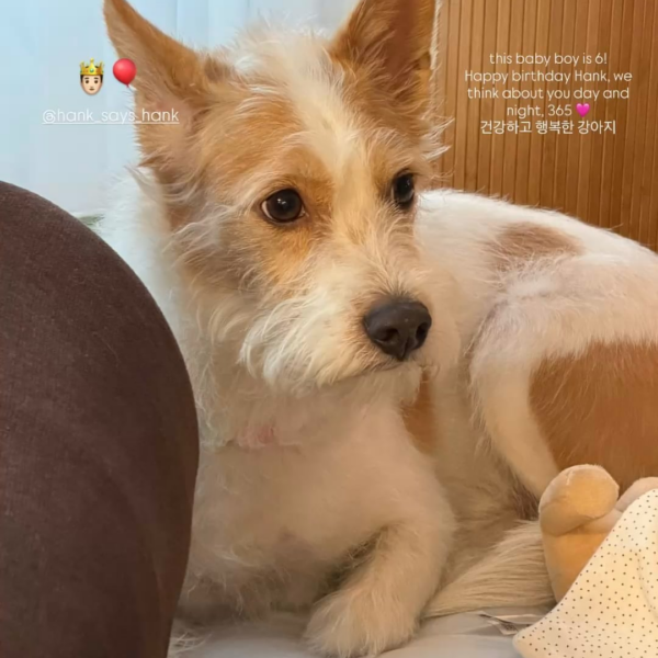 260505 Alice IG Story Update w/ HANK