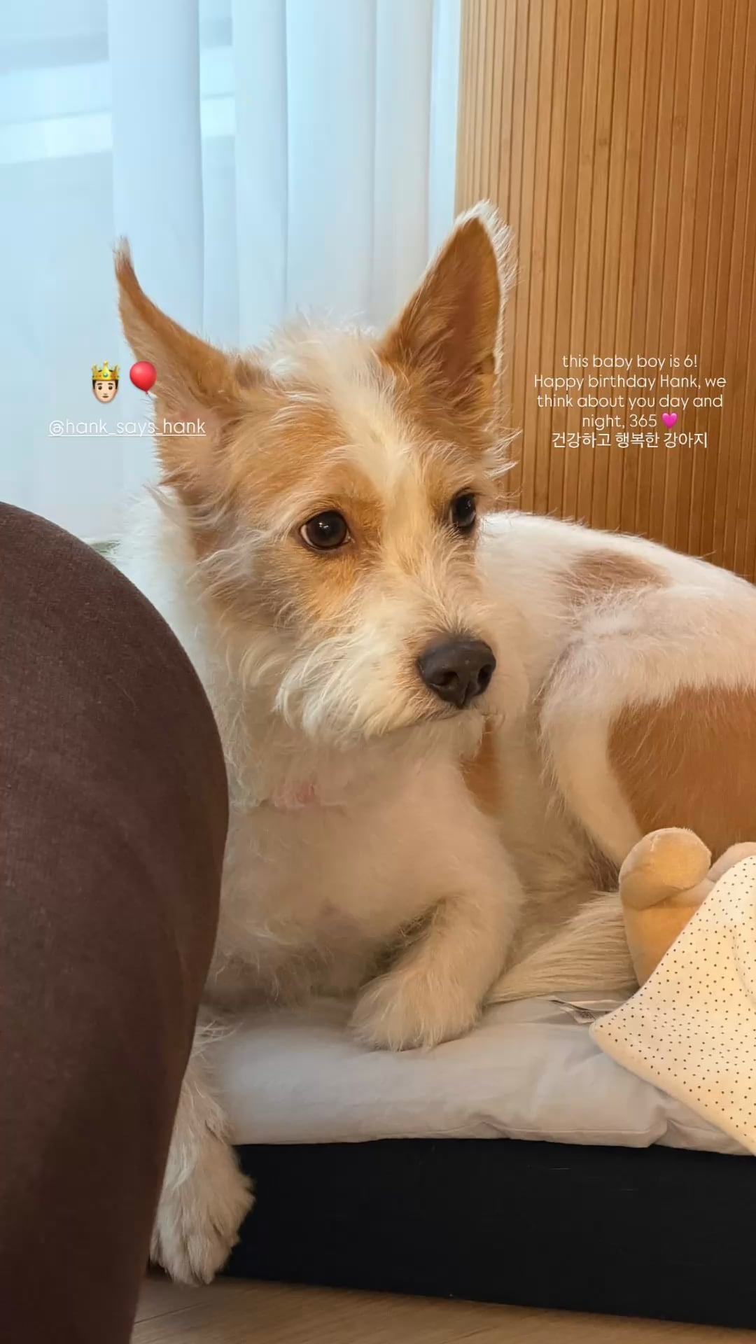260505 Alice IG Story Update w/ HANK